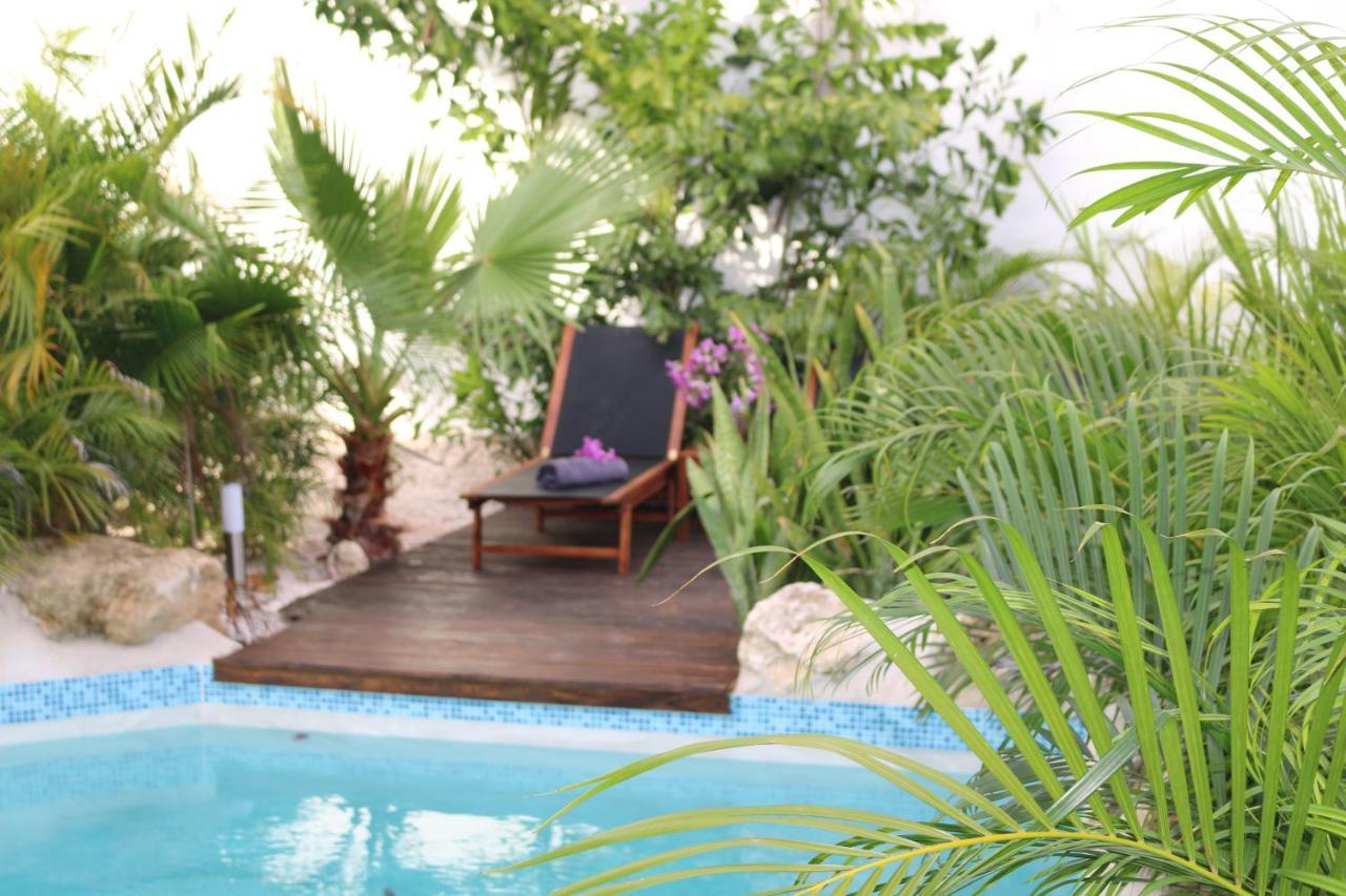New House Tropic Paradise With Pool Виллемстад Экстерьер фото