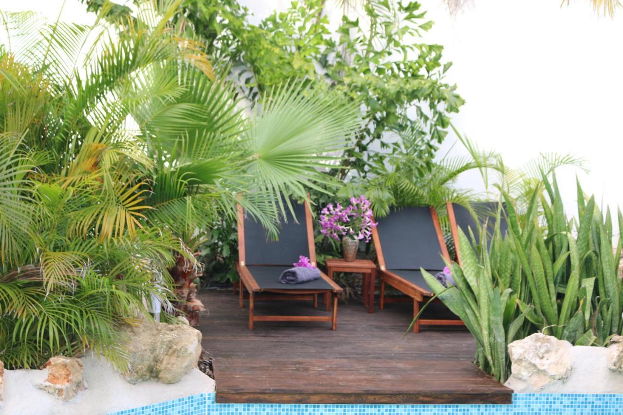 New House Tropic Paradise With Pool Виллемстад Экстерьер фото
