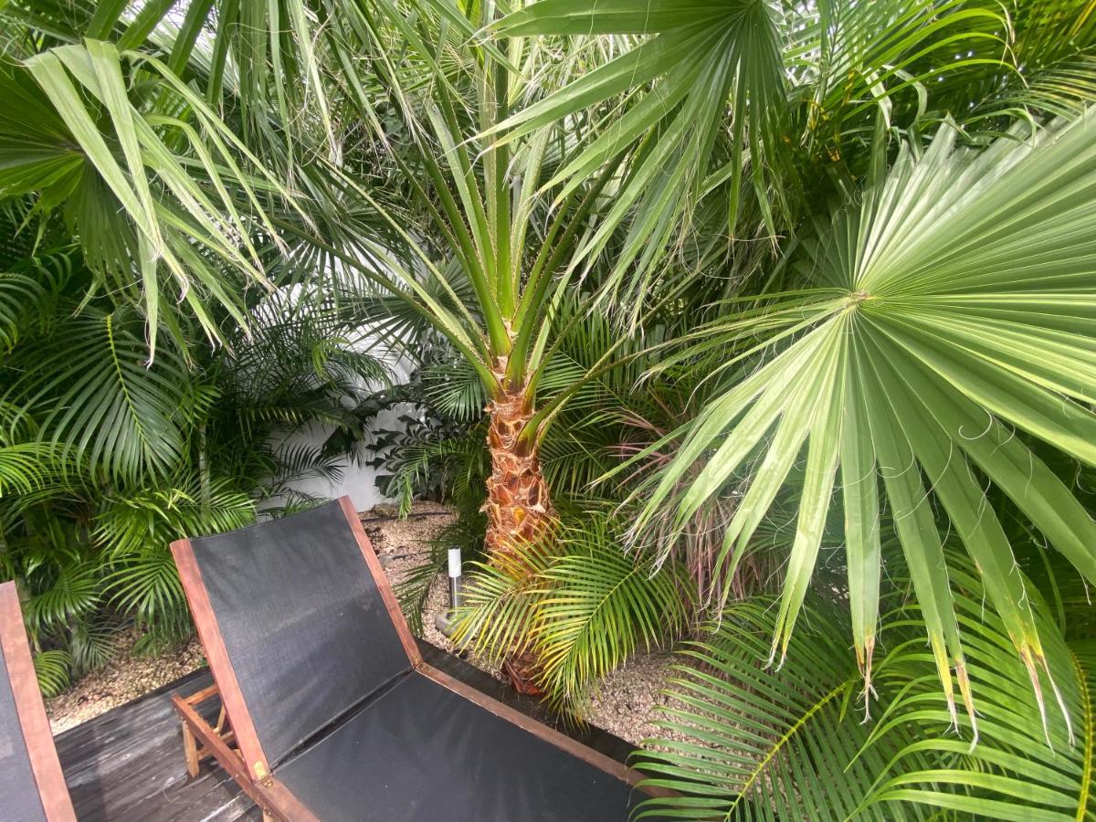 New House Tropic Paradise With Pool Виллемстад Экстерьер фото